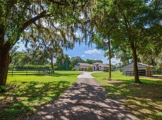 3901 Stearns Rd, Valrico, FL 33596