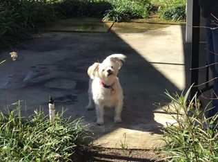 405 Labree Rd, Perdido Key, FL 32507