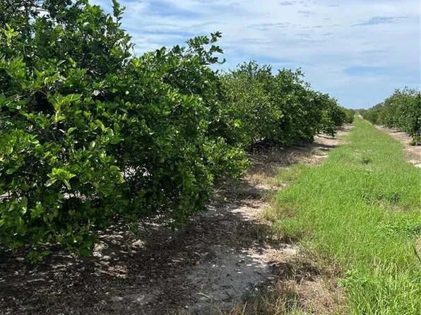 332 Kelly Roberts Rd #0, Zolfo Springs, FL 33890