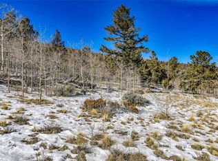 2996 Redhill Road LOT 448, Fairplay, CO 80440