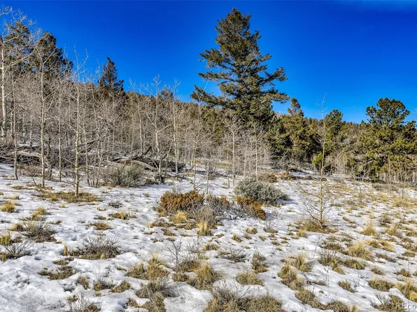 2996 Redhill Road LOT 448, Fairplay, CO 80440