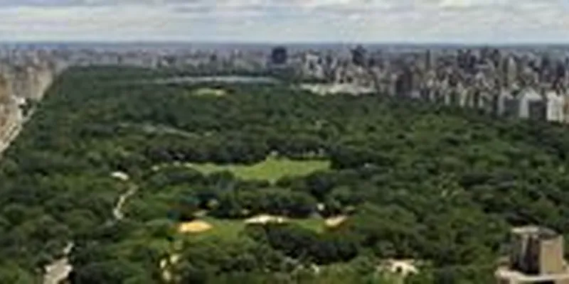 Sold by Douglas Elliman | media 2