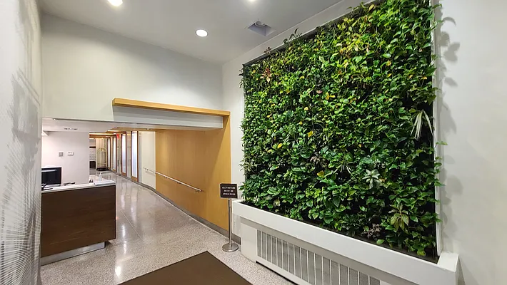 Rented by Tiffany C Wong, LREB | media 13