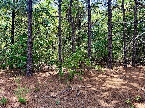 4th image of 186 Twisted Elm Trl Lot 33