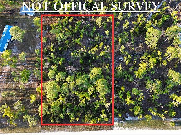 5th image of LOT 204 Post Oak Rd