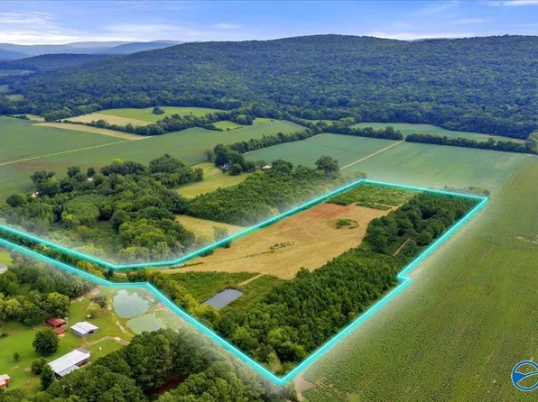 Maysville Rd, New Market, AL 35761