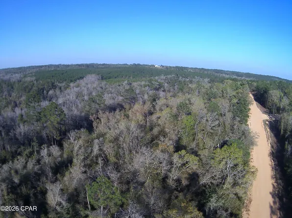 Olivia Dr, Alford, FL 32420