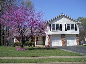 1st image of 7300 Mizzen Pl
