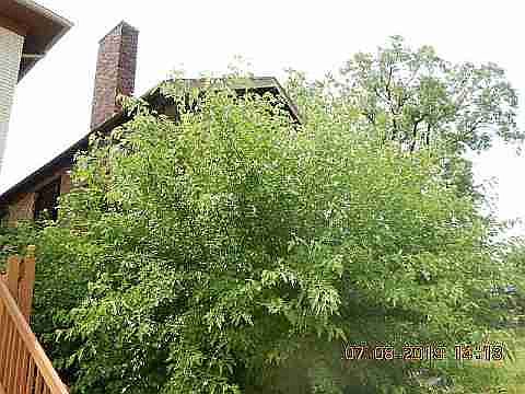 1167 W Grand Blvd