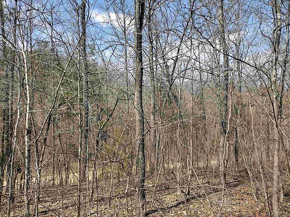 2nd image of 0 Younger Access Rd
