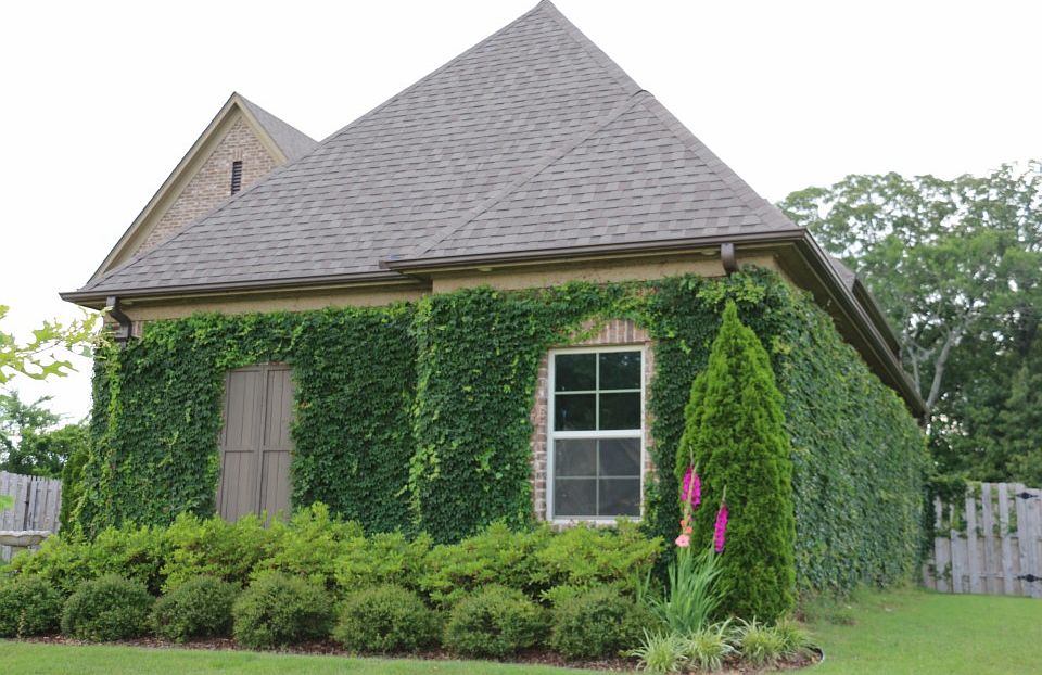 2nd image of 5671 Liles Ln