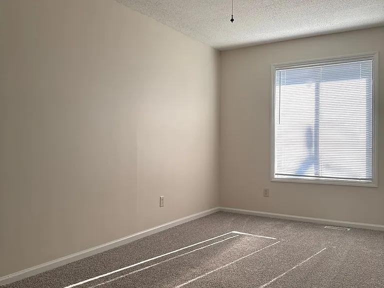 100 Marlene Dr — Photo 18