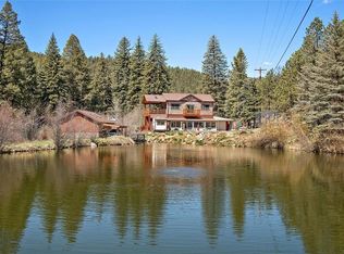15153 S Elk Creek Rd, Pine, CO 80470