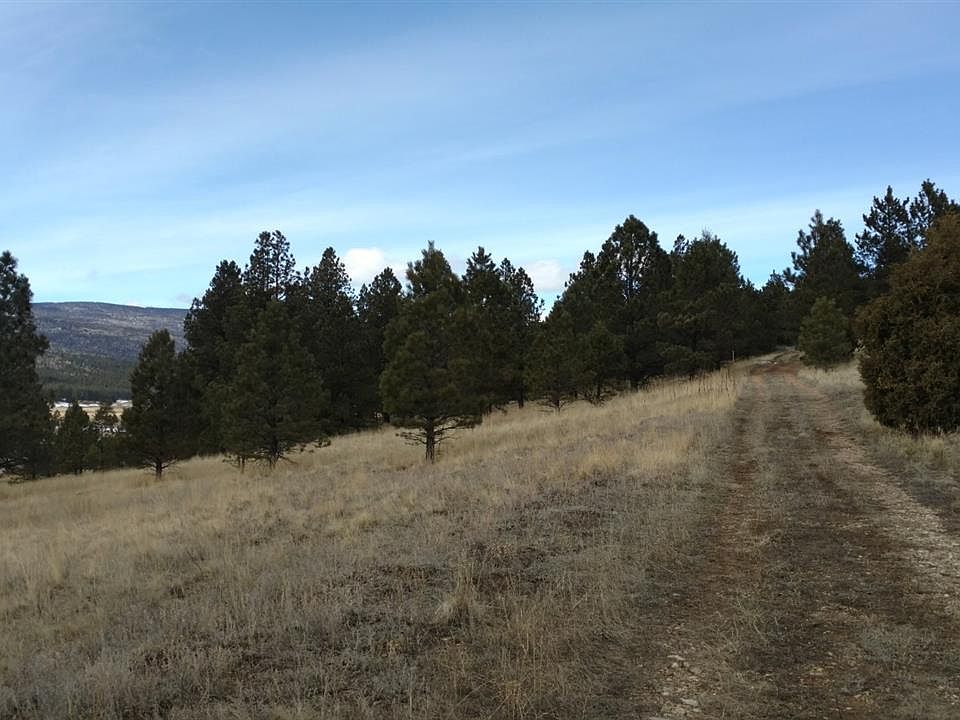 2nd image of 57 Mora Ranch Rd