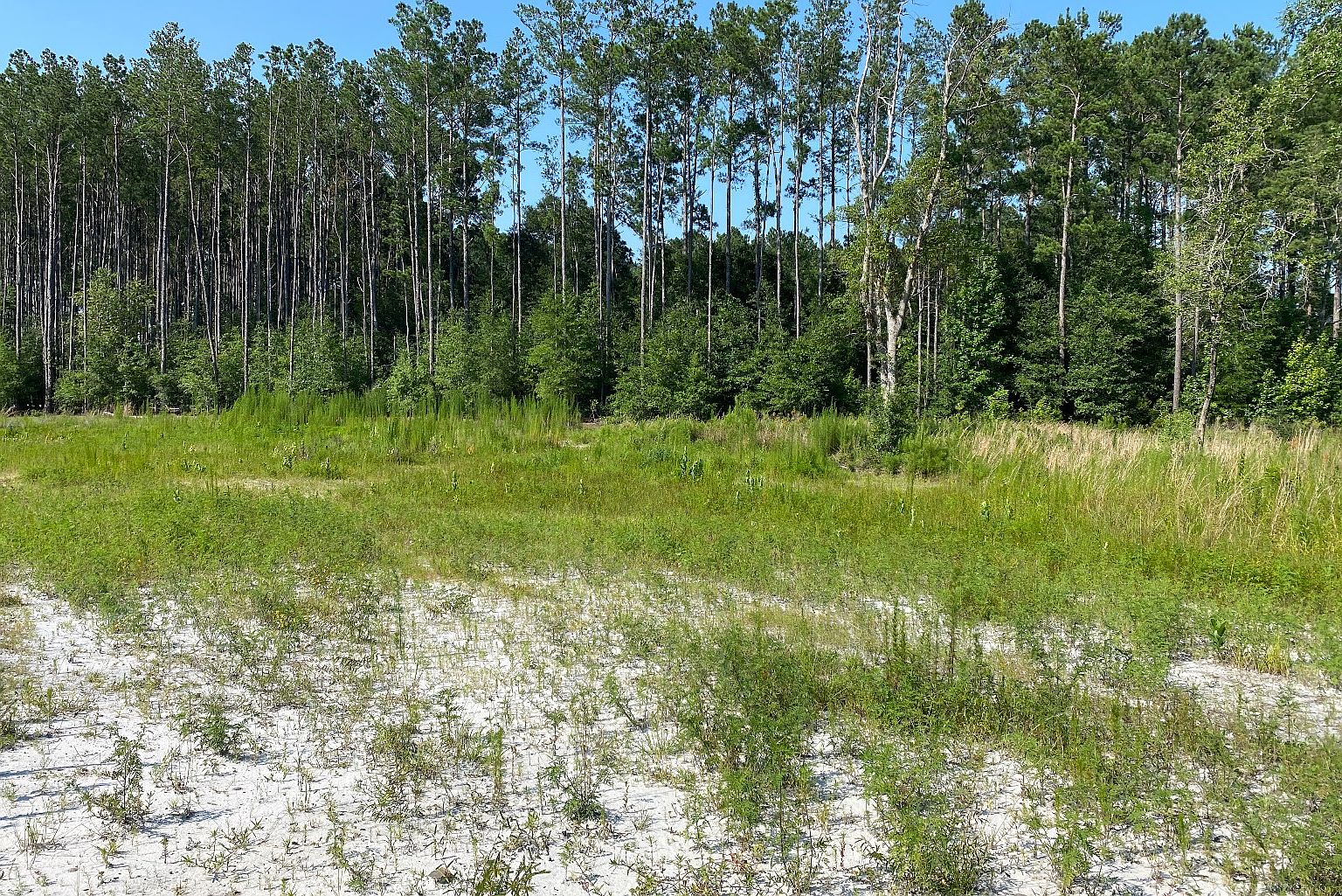 6016 NW 48th Way, Jennings, FL 32053 Zillow