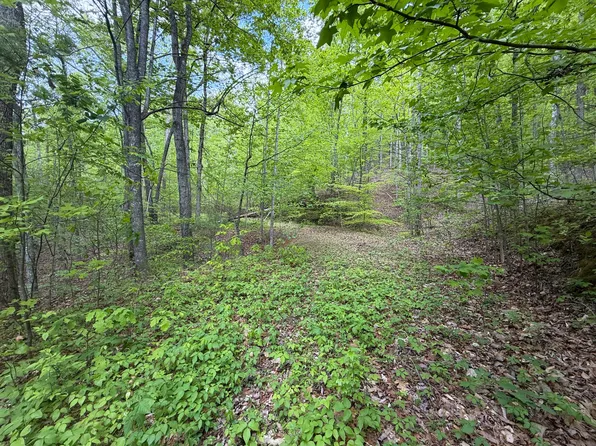15.04 James Branch Rd, Newport, TN 37821
