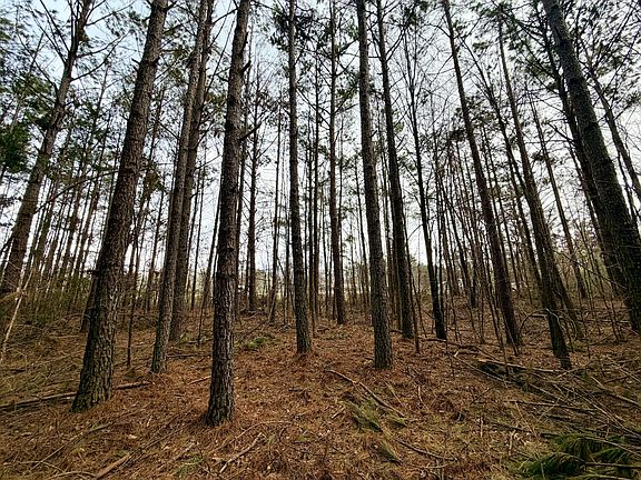 2nd image of Alcorn County Rd #106