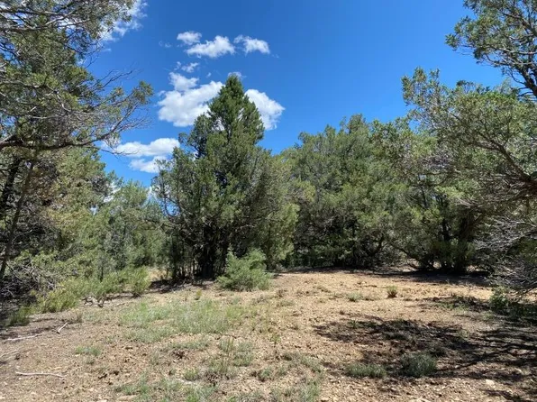 5 South Lks, Tierra Amarilla, NM 87575