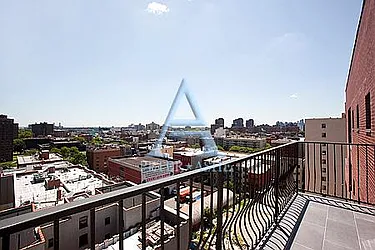 Rented by Peter Ashe