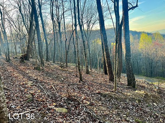 5th image of 36 Bears Paw Dr