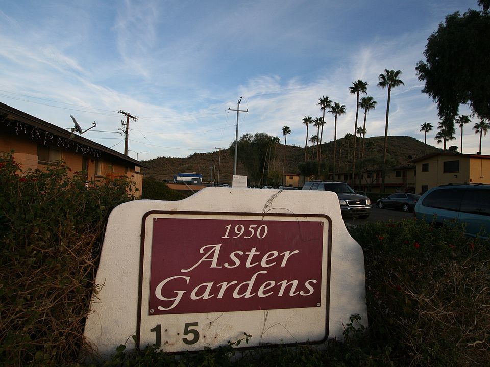 1st image of 1950 W Aster Dr APT B1