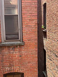 Rented by Urban Real Estate Property Group Inc