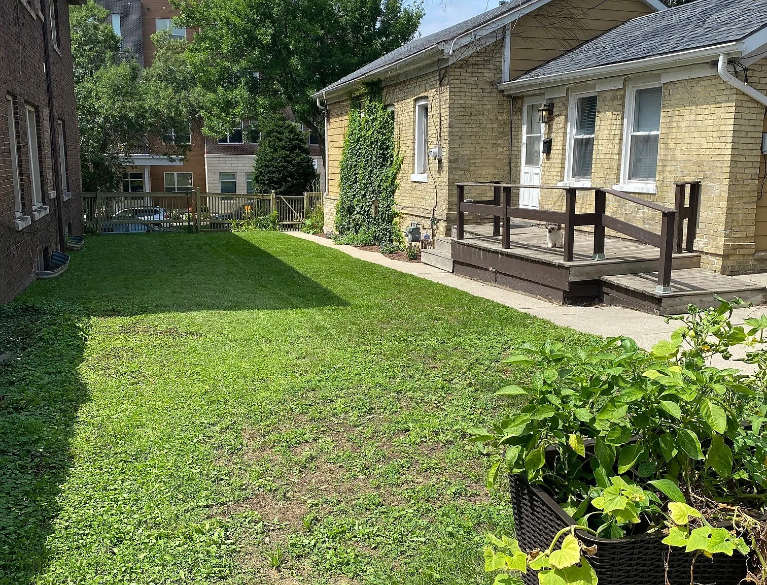 1 bed, 859 sqft, $2,250 — Photo 3