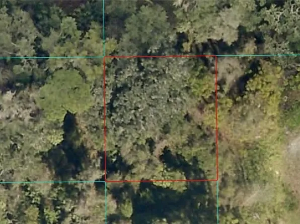 16649 NE 35th Ave, Citra, FL 32113