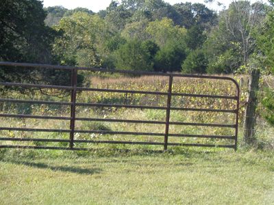 201 Prairie Ln, Kirbyville, MO, 65679