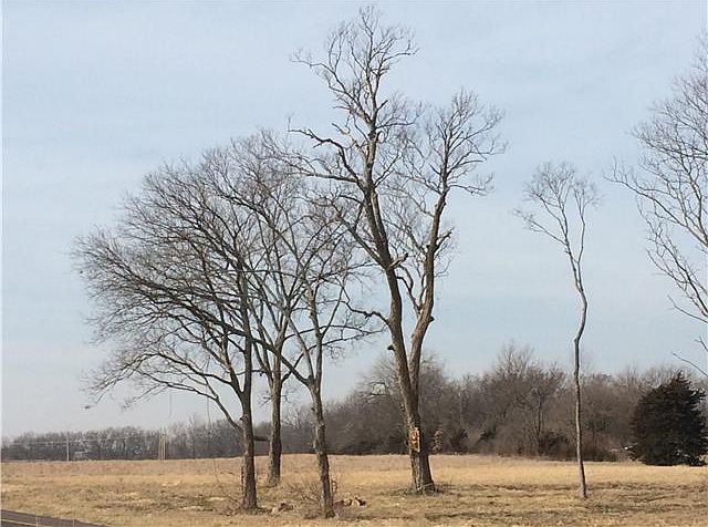 2nd image of Tonganoxie Dr