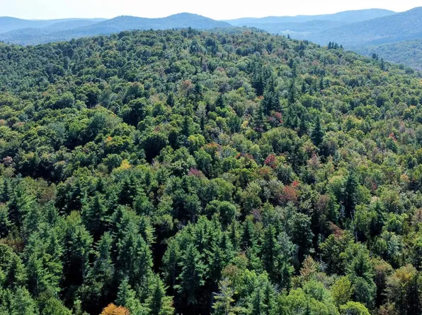 00 Stagecoach Road, Grafton, VT 05146