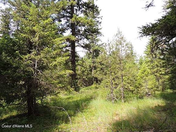 5th image of Nka Antler Ln