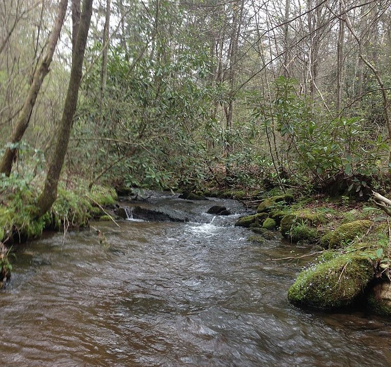2nd image of 55 Greasey Creek Road