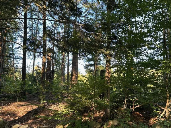 00 Berry Road, New Durham, NH 03855