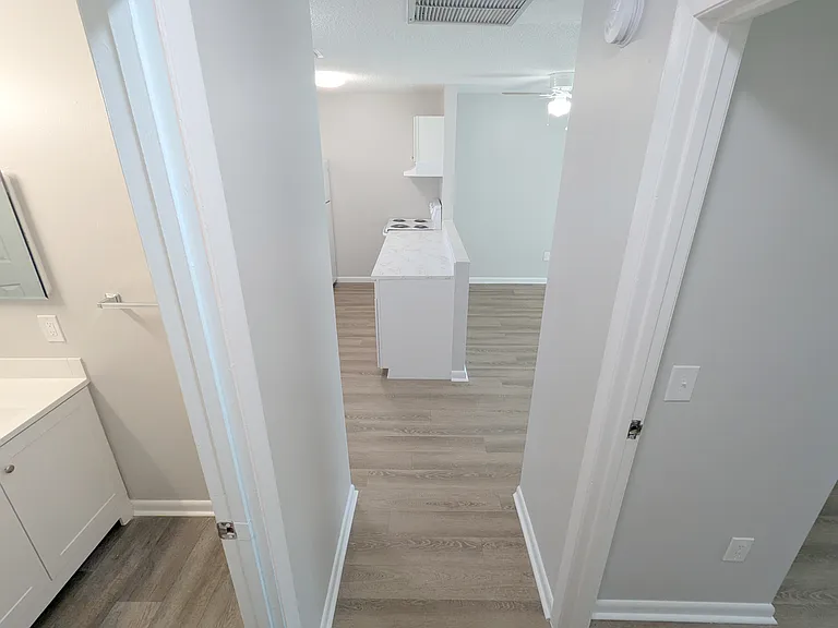 3031-3045 Springfield Ln #3035 — Photo 9