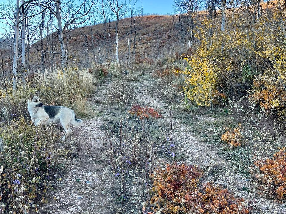 La Veta Acre LOT 31, La Veta, CO 81055 Zillow