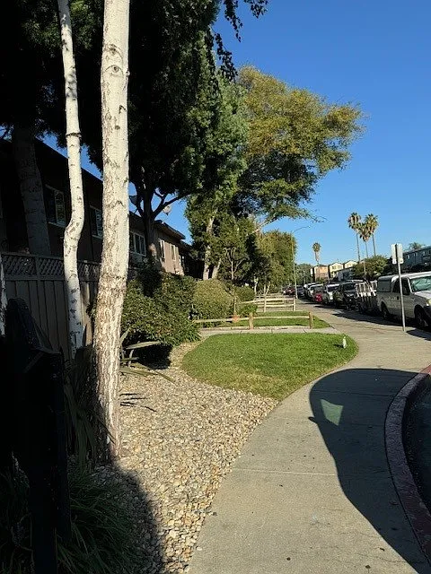 Foothill Manor — Photo 4