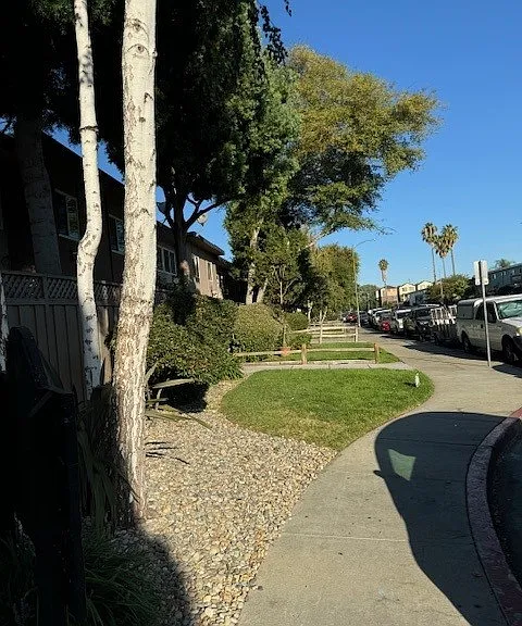 Foothill Manor — Photo 4