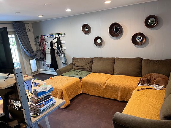 Penny not included. Plush dog bed (sectional couch) optional.