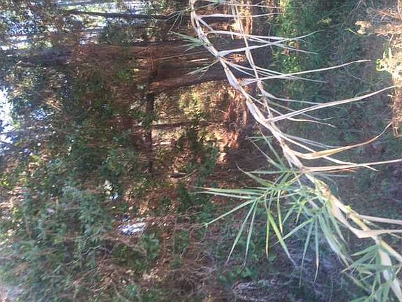 3rd image of 1424 Bienville Blvd #21