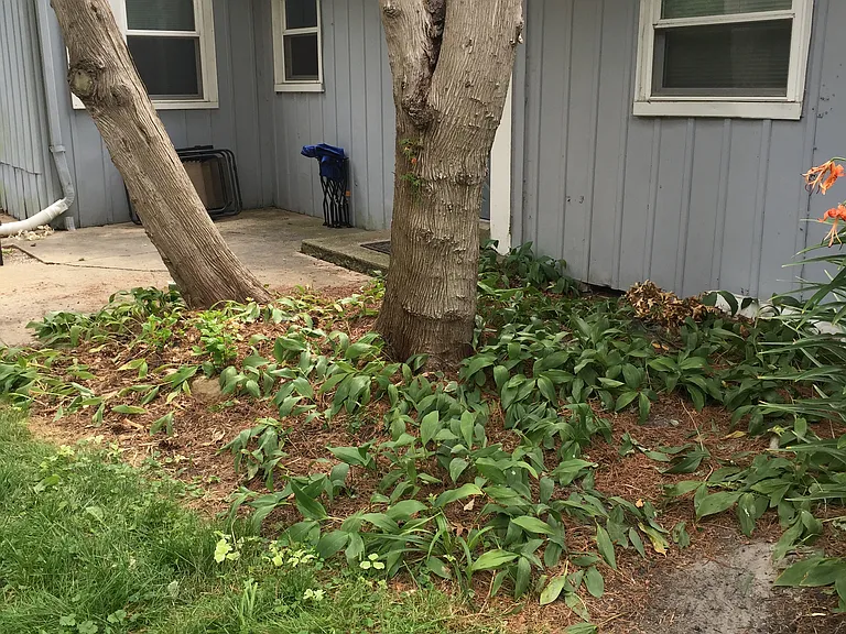3100 Wellington Ct — Photo 18