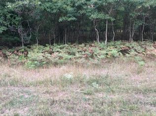 15 N 48th Ave, Pentwater, MI 49449