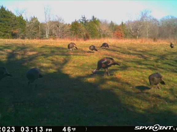 3rd image of 0 S Cedar Grove Rd