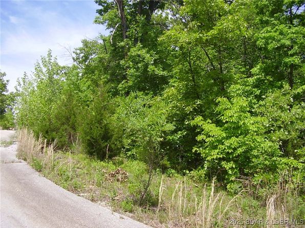 20 Silver Spur Ct, Camdenton, MO 65020