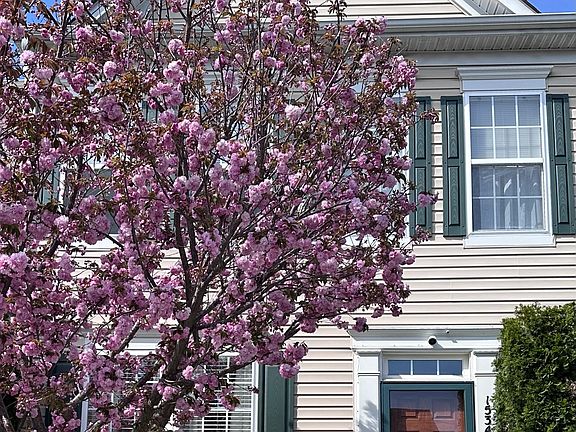 Front - exterior (Spring)