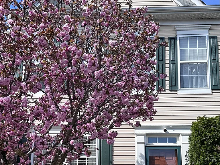 Front - exterior (Spring)