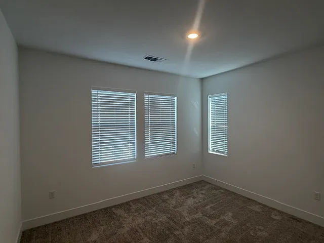 3217 Shrute Dr — Photo 61