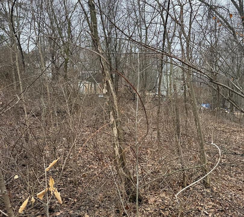 1st image of W Pine St