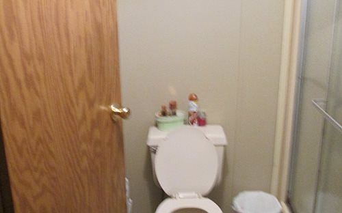 4th image of 443 SW Mollie Ter