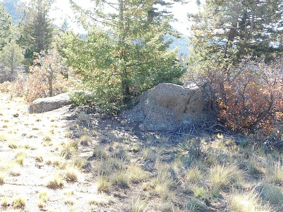 4th image of 3794 Basin Dr